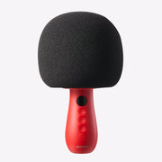 JR-MC6 Handheld Microphone with Speaker