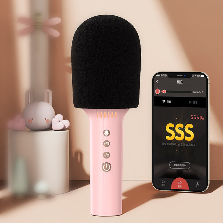 JR-MC5 Live Portable Bluetooth Microphone